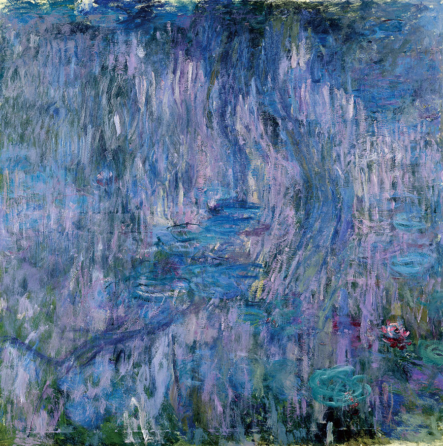 睡蓮、柳の反映